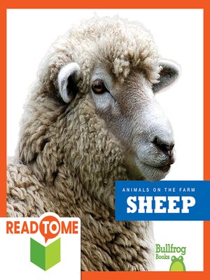 cover image of Sheep